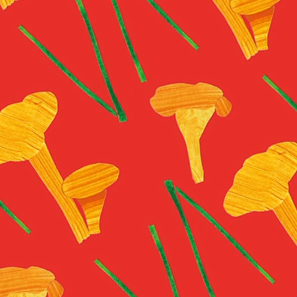 TenTa - Wholesale Wrapping Paper Roll - Chanterelle Mushroom Patterned Wrapping Paper – Red & Ochre5