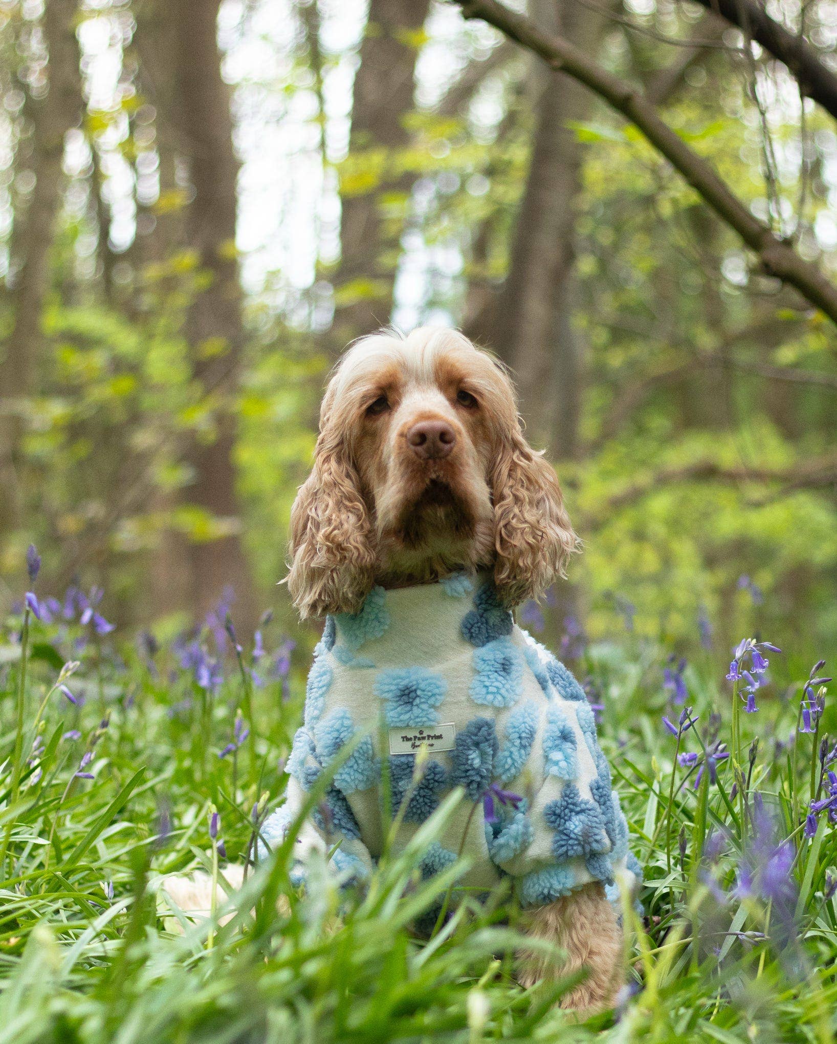 The Paw Print Boutique - Wholesale Pet jumper – Dog - The Bluebell Blue Floral Fleece12