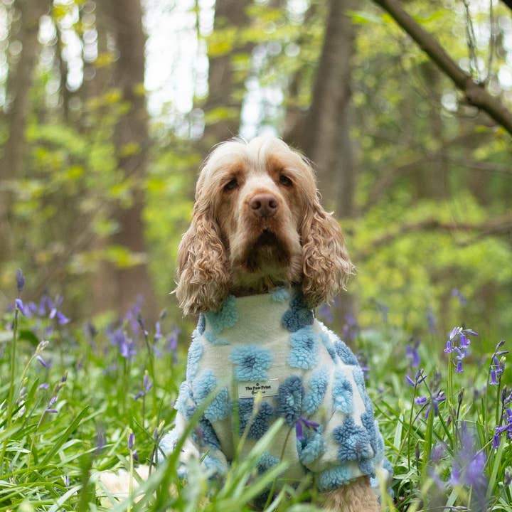 The Paw Print Boutique - Wholesale Pet jumper – Dog - The Bluebell Blue Floral Fleece12
