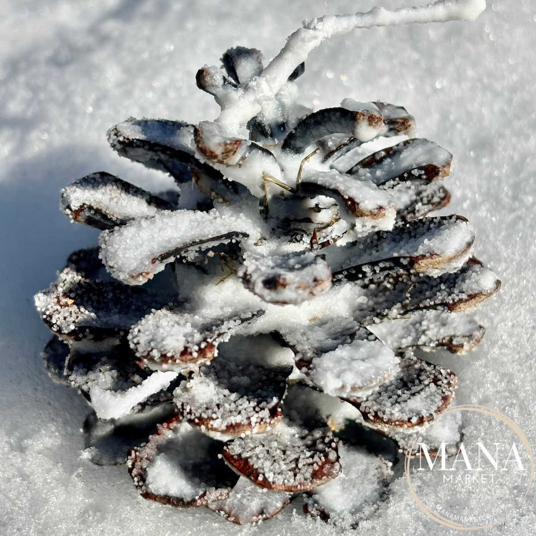 Mana Market Co. - Vente Cadeaux pour invités - Cônes de pin allume-feu cadeaux et souvenirs8