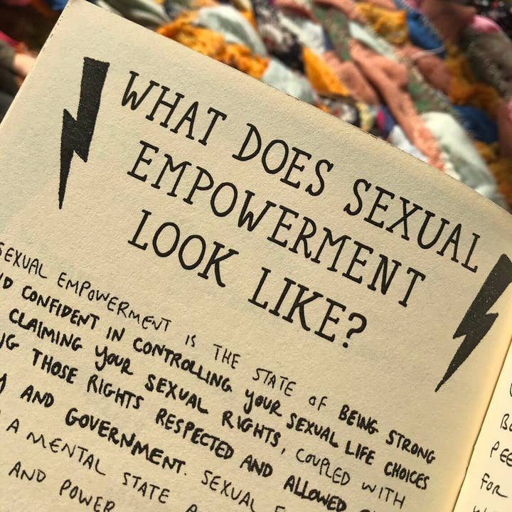 Pleasure Pie - Wholesale Social Sciences Book - Sexual Freedom Activism Field Guide Zine | Sex Education3
