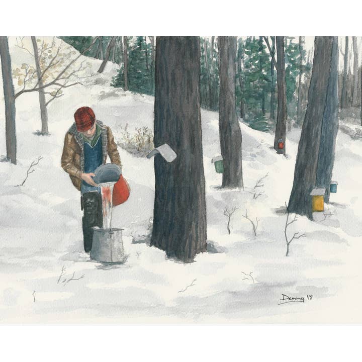Récolte sève d'érable pour la vente par Drew Deming Watercolors