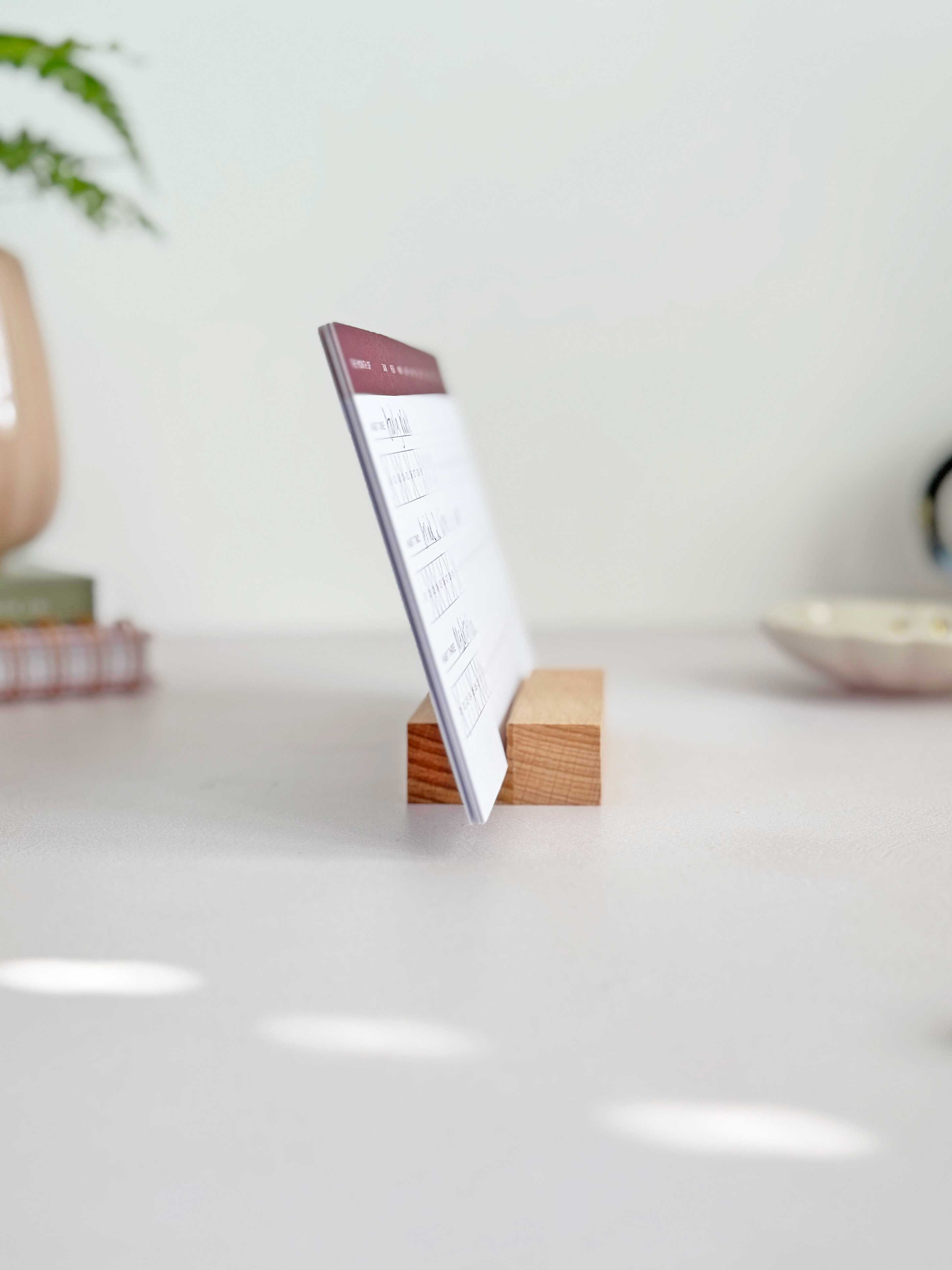 AIM Studio Co – wholesale Stationery/notecard set – Daily Habit Tracker Cards with Wooden Block | 365 Days9