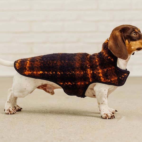 Dachshund Couture hundrock i tartan, blå och varm orange för wholesale av Dachshund Couture
