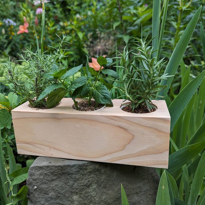 Sprigbox - Wholesale DIY Craft Kit - Cocktail Mixers Starter Kit | Grow Lavender, Mint, Rosemary6