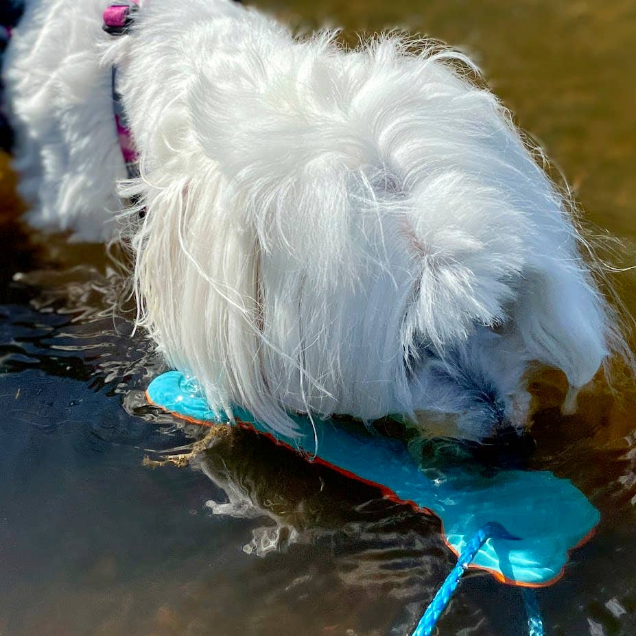 FINNERO - Wholesale Pet Toy - Dog - FINNERO WAVE Floating Dog Toy, Made in Finland, 2 sizes9