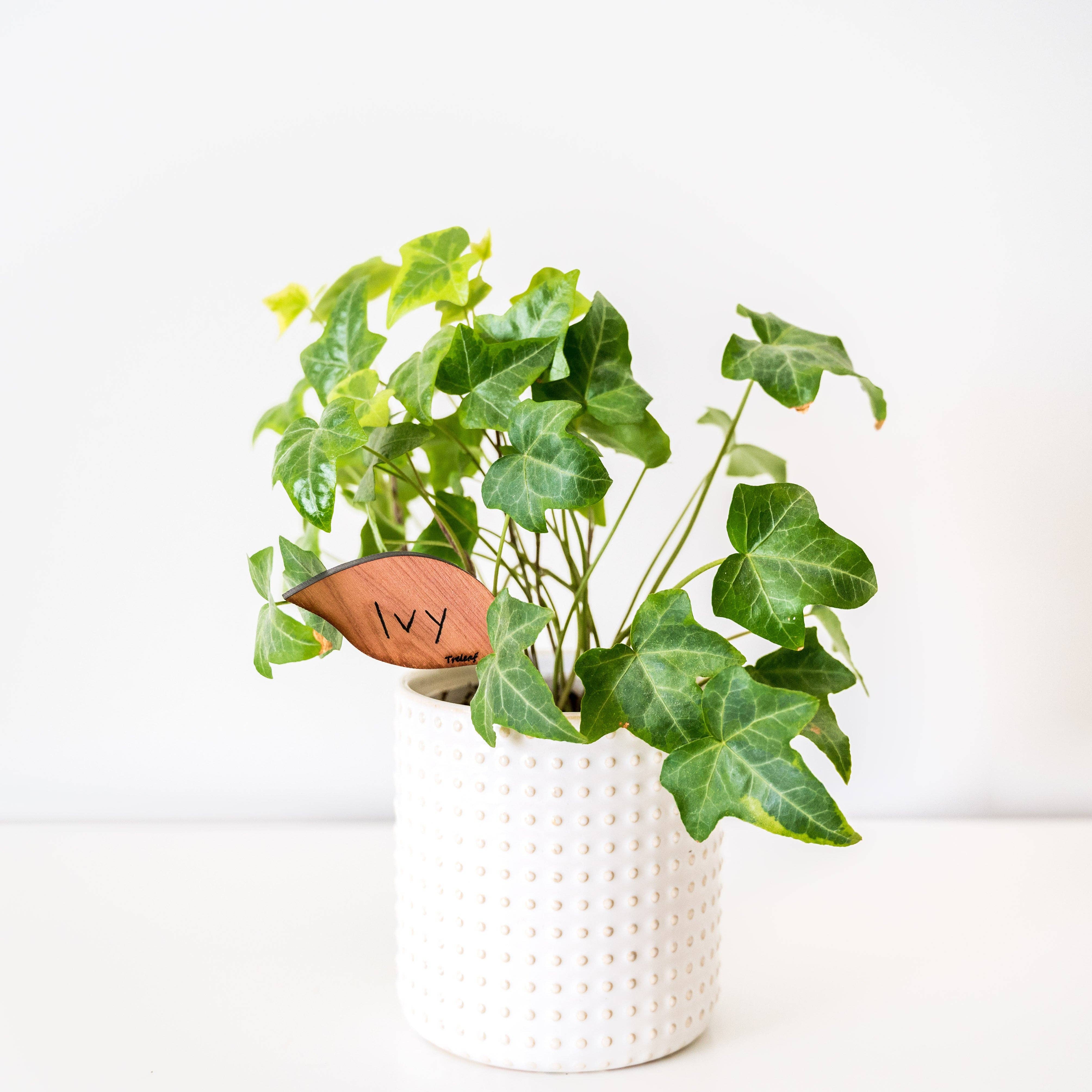 Treleaf - Wholesale Garden/Lawn Stake - Folia-Wooden plant tags-Leaf-shaped plant labels -Set of 123