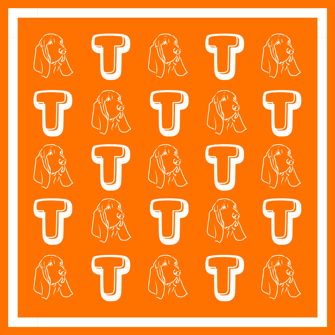 ALMA-MATER COLLECTION - Wholesale Scarf - Women's - Orange & White Gameday Bandana Scarf (3 PRINTS)0