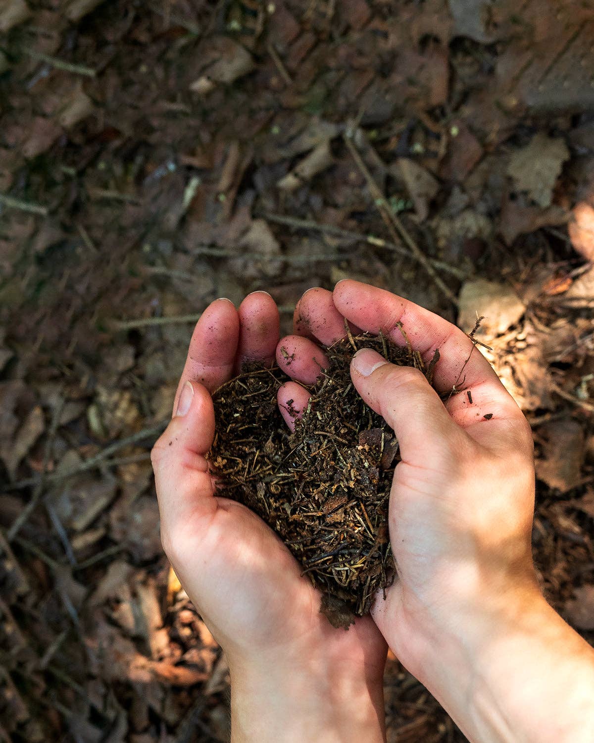 Pause Nordic – wholesale Ansiktsrengöring – Pause Nordic Rengöringsbalm 100 ml4