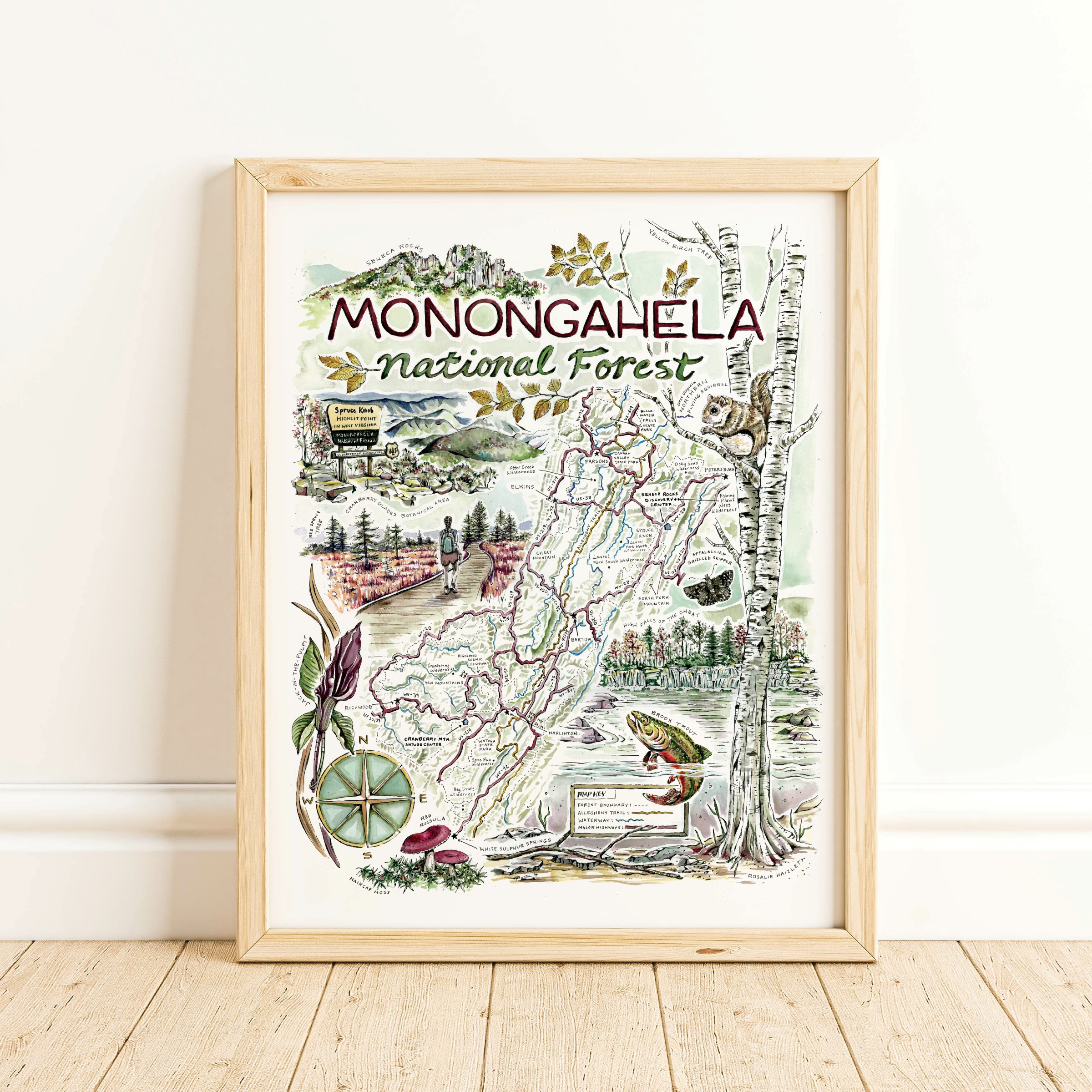 Rosalie Haizlett Illustration - Wholesale Map - Monongahela National Forest Map - Watercolor Art Print1