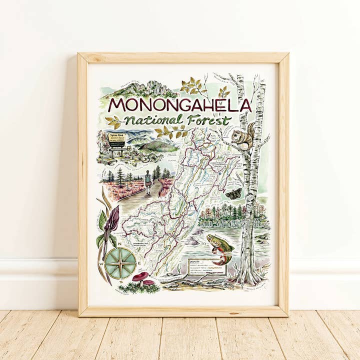 Rosalie Haizlett Illustration - Wholesale Map - Monongahela National Forest Map - Watercolor Art Print1