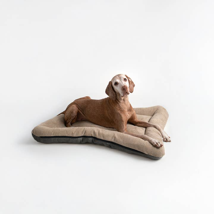 Snoozer Pet Products - Vendita all'ingrosso Letto - Cani - Cuccia per Cani All Day di Snoozer17