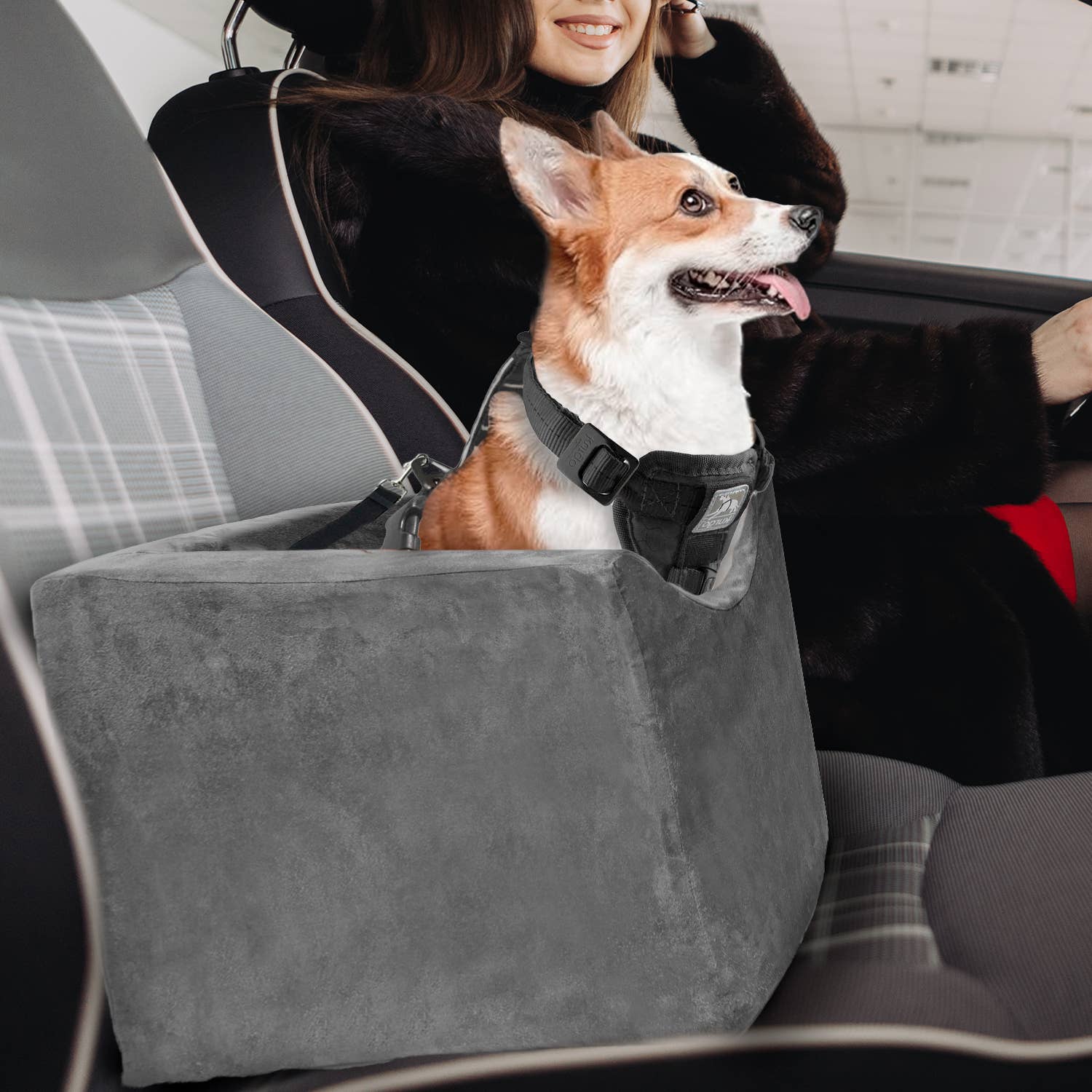 Precious Tails - Wholesale Pet Carrier - Cat/Dog - Precious Tails High Density Foam Pet Booster Seat44