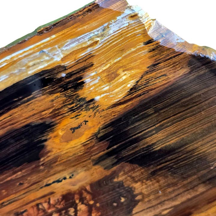 Lapidary Central - Wholesale Spiritual Stone/Crystal - Biggs Picture Jasper Slab - Coffee and Cream Lake Scene - Beers Mountain Oregon2