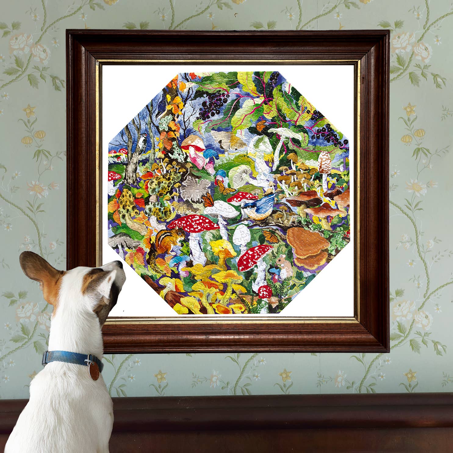 eeBoo - Vente Puzzle – adulte - Puzzle octogonal de 500 pièces sur les champignons toxiques4