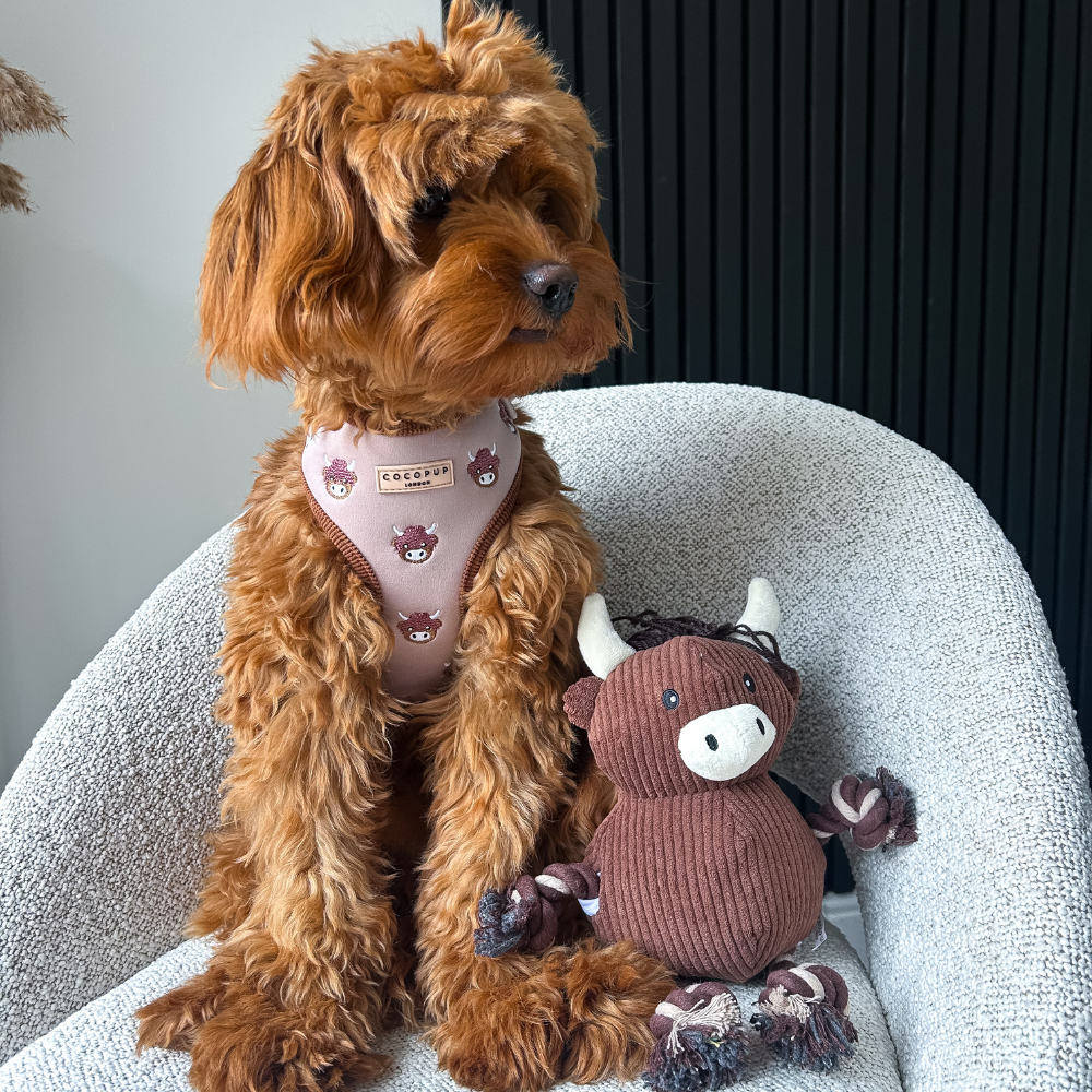 Cocopup London - Wholesale Pet Harness - Dog - Harold the Highland Cow Adjustable Neck HARNESS36