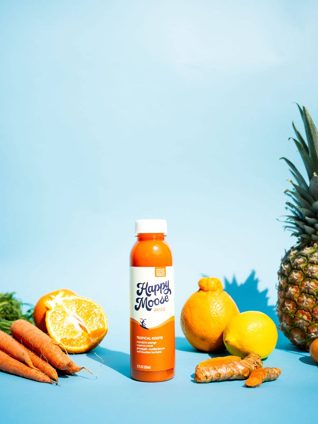 Happy Moose Juice - Wholesale Wellness Juice/Tonic - Coffee Shop Starter - Cold-Pressed Juice - 4 Recipes x 94