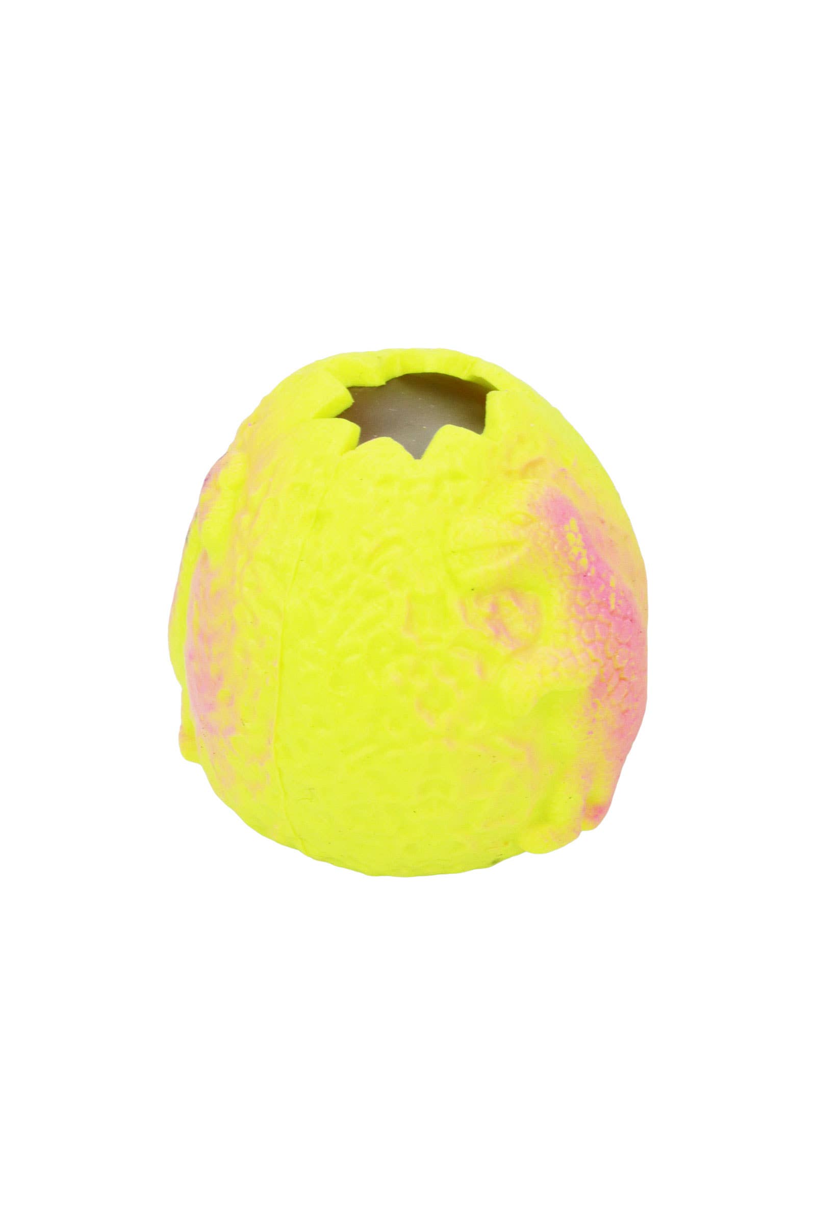 ASSORTED Dinosaur Egg Fossil Figure Water Filled Squishy for wholesale on Faire5