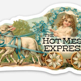 The Coin Laundry - Wholesale Sticker - Hot Mess Express Funny Sticker - Vintage Style Girl1
