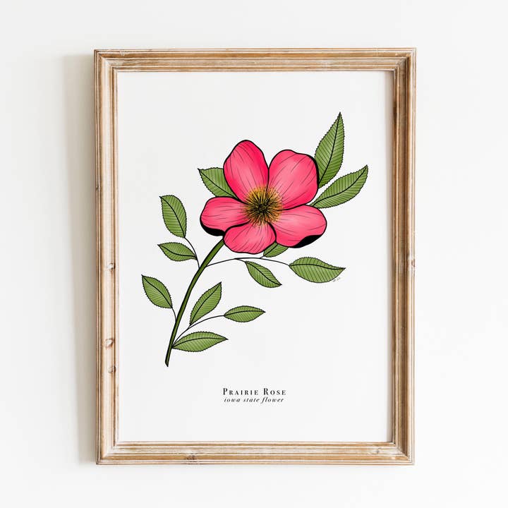 Imprimé floral Iowa State | Imprimé floral rose des Prairies pour la vente par Erika Layne Art
