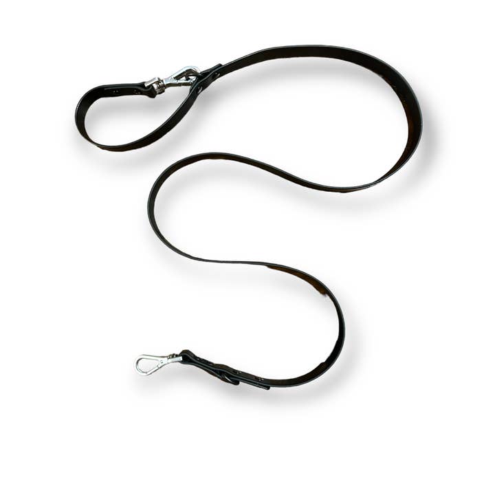 Come Here Buddy - Wholesale Pet leash – Dog - Dog Leash6