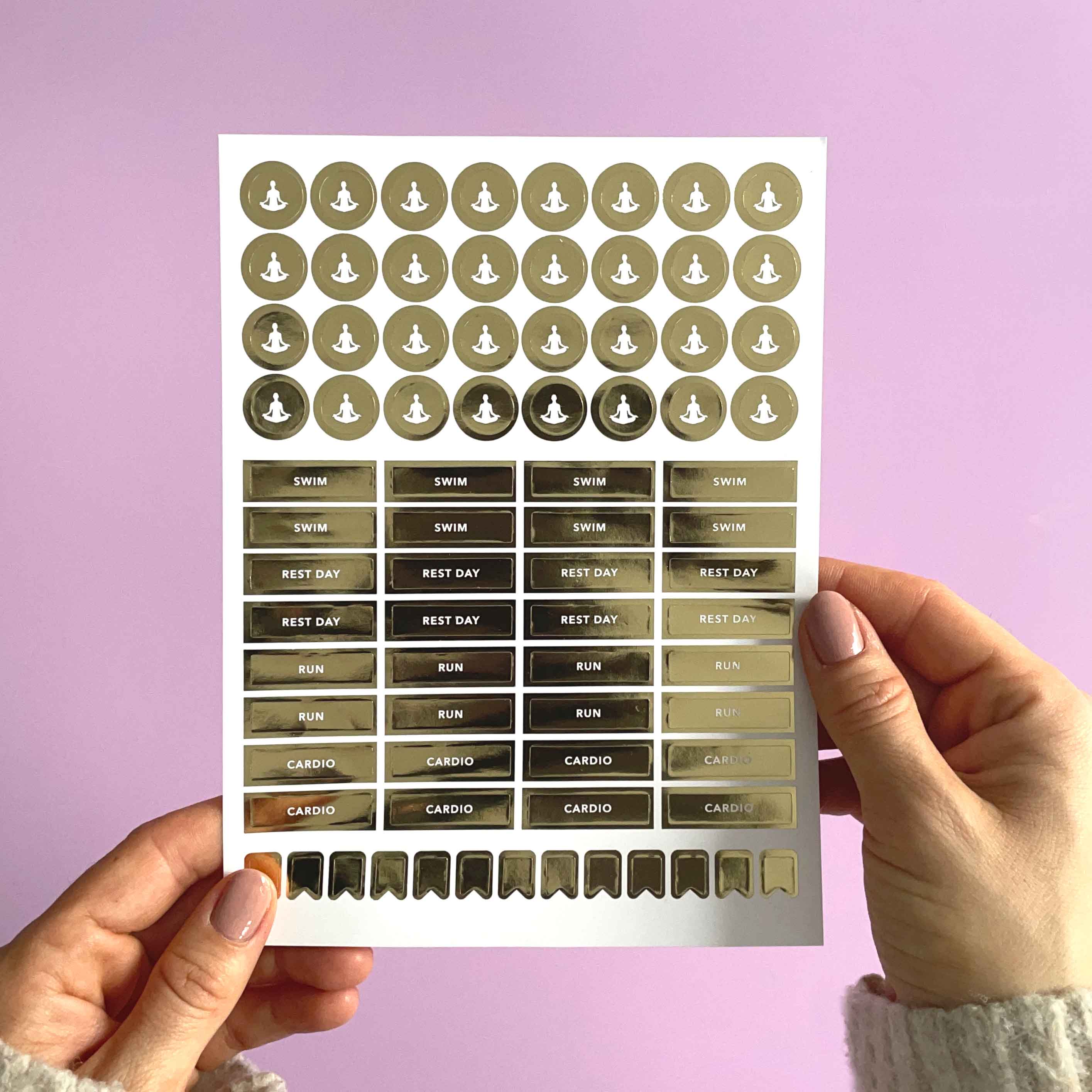 Blush And Gold – Großhandel Aufkleber – Fitness-Aufkleberpaket (3 Blatt)4