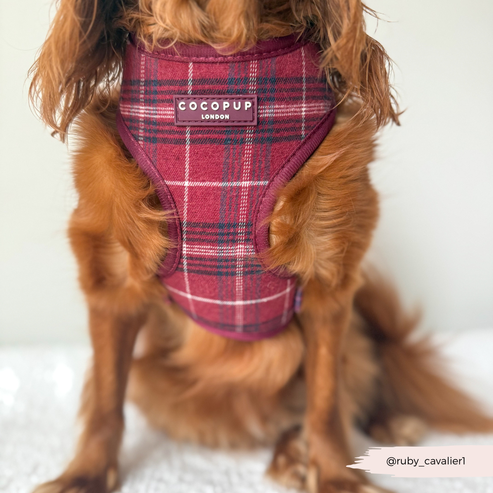Cocopup London - Wholesale Pet Harness - Dog - Mulberry Plaid Adjustable Neck HARNESS18