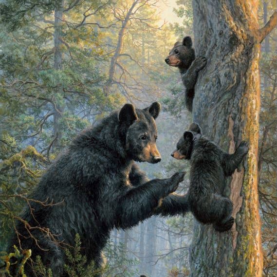 "Loving Mother" 1-Ply Medium Weight Faux Fur Blanket for wholesale by Duke Imports