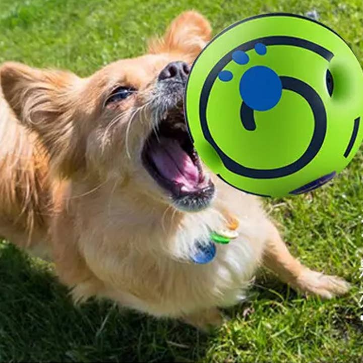 Super Santa - Wholesale Pet Fetch Ball - Dog - Bouncy Rubber Dog Ball Toy - Bulk