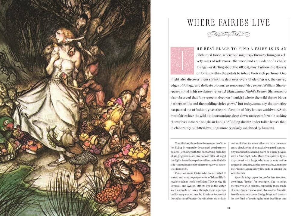 HarperCollins - Wholesale Teen & Young Adult Book - Faerie Handbook, The: The Editors of Faerie Magazine2