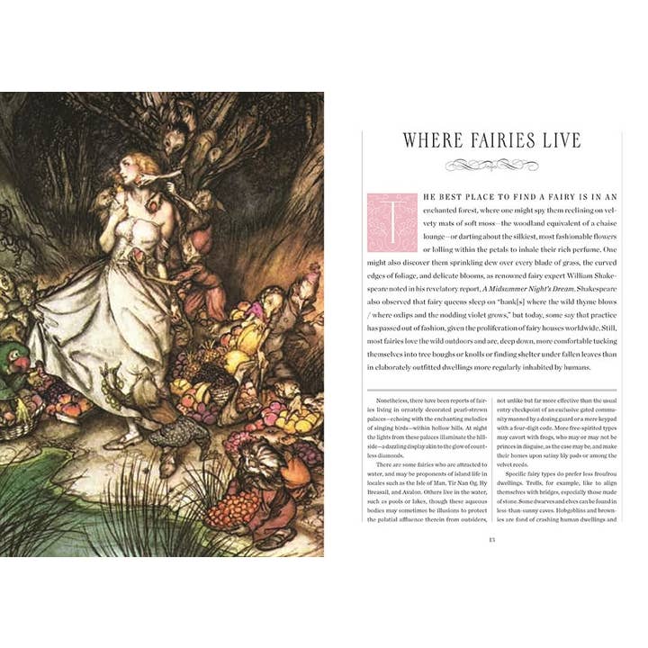 HarperCollins - Wholesale Teen & Young Adult Book - Faerie Handbook, The: The Editors of Faerie Magazine2