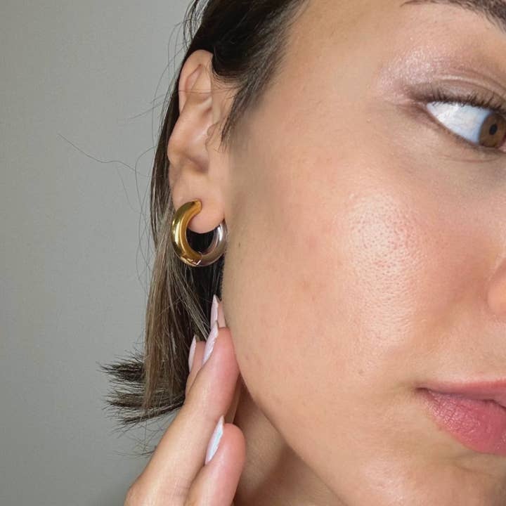 HoopLa - Wholesale Hoop Earrings - Undecided- Two Tone Earring- Hinge French Cleat Closure