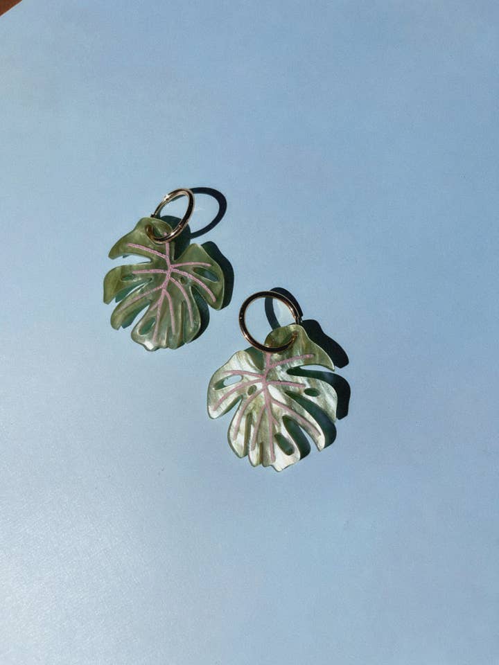 Monstera-bladeren voor wholesale door Shop Cholla