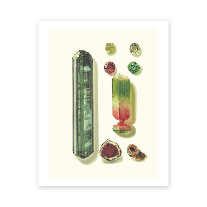 Bagged & Backed Gemstone Plate 1 Art Print for wholesale by Cynefn