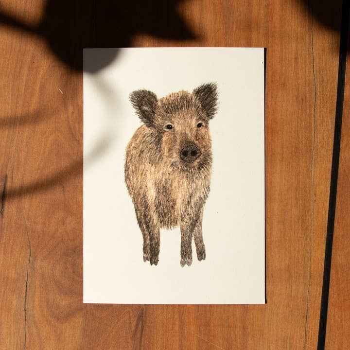 Postcard Animals - Wild Boar for wholesale by erd.apfel