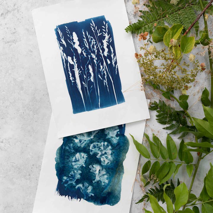 The Wild Darkroom – wholesale DIY craft kit – Cyanotype Printing Paper A42