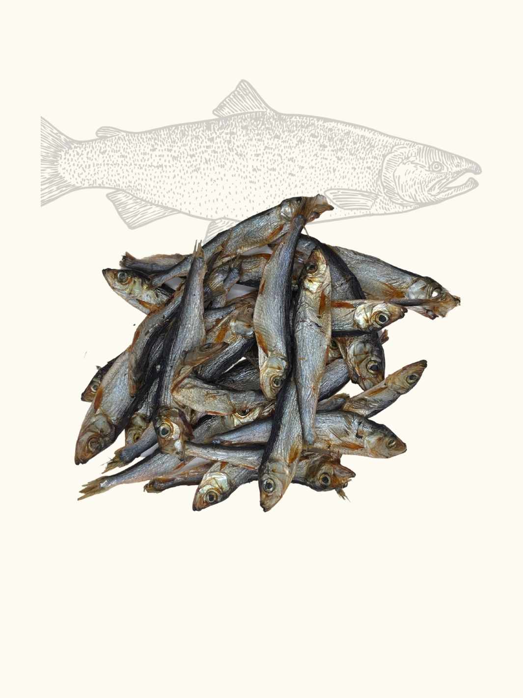 Truffe Délice - Wholesale Hondenkoekjes - Hond - Gedroogde sprotjes8