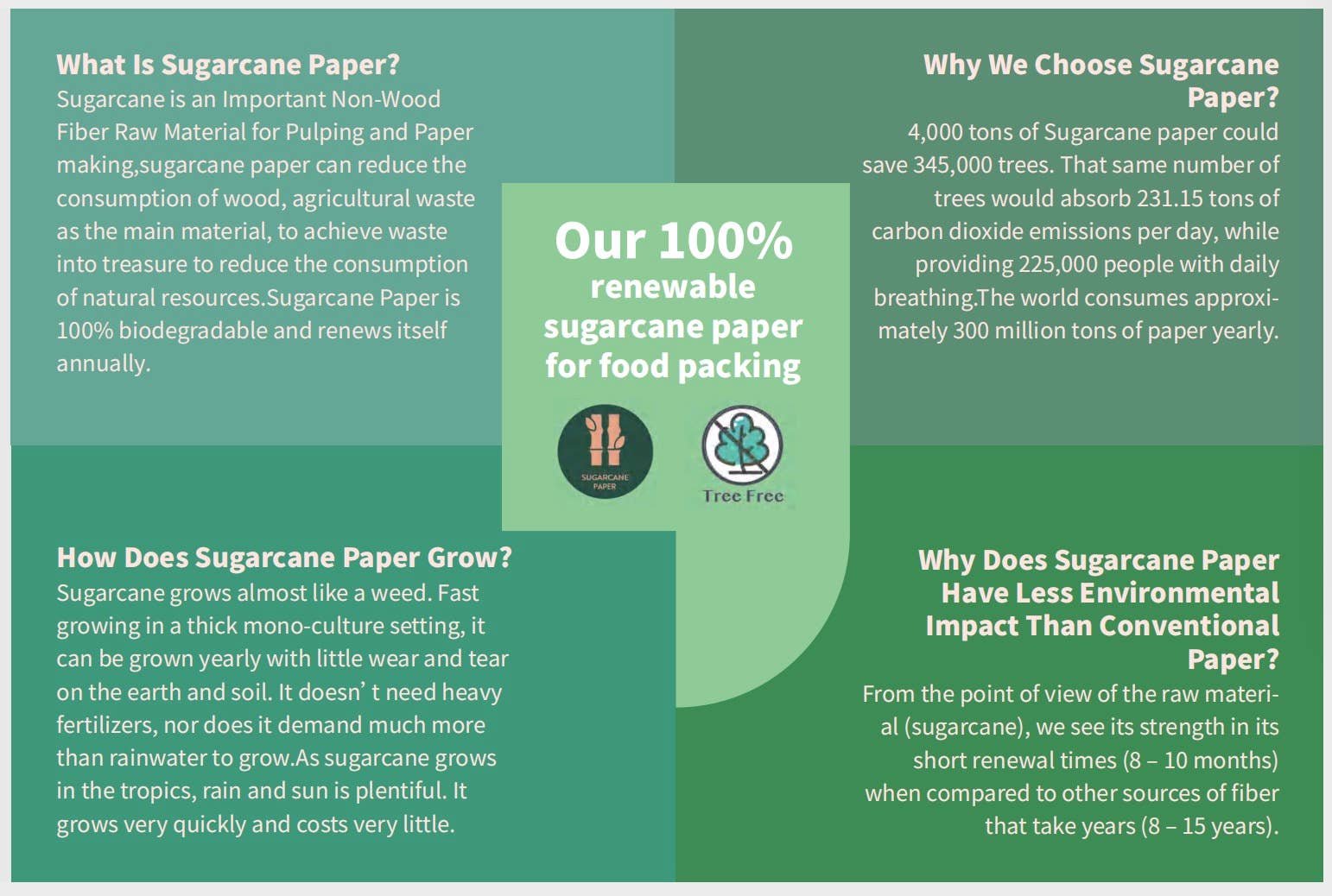 PUREGREEN GmbH – Großhandel Einwegbecher – 100 % biologisch abbaubare Kaffeebecher aus pflanzlichem Material (Packung)2