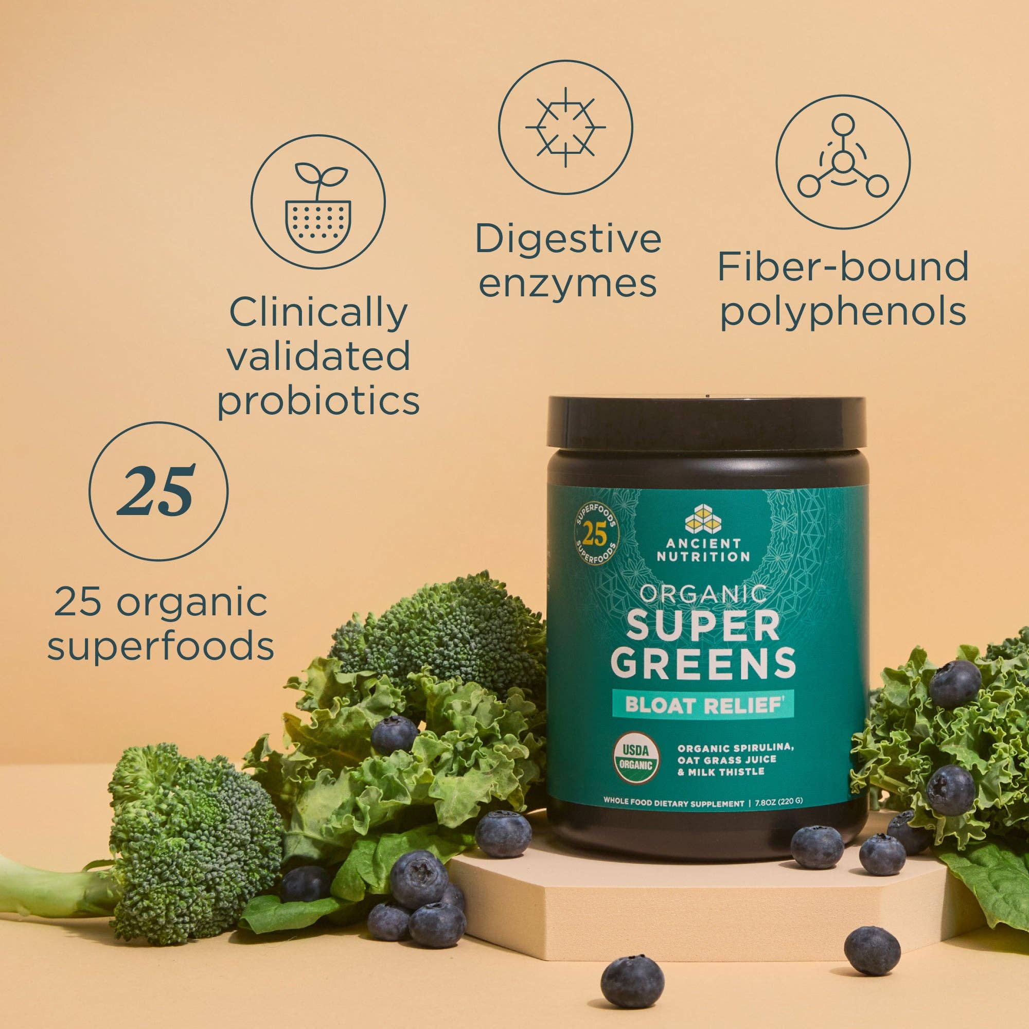 Ancient Nutrition - Wholesale Protein/Superfood Powder - Organic SuperGreens Bloat Relief† | Powder Greens Flavor (25 Servings)2