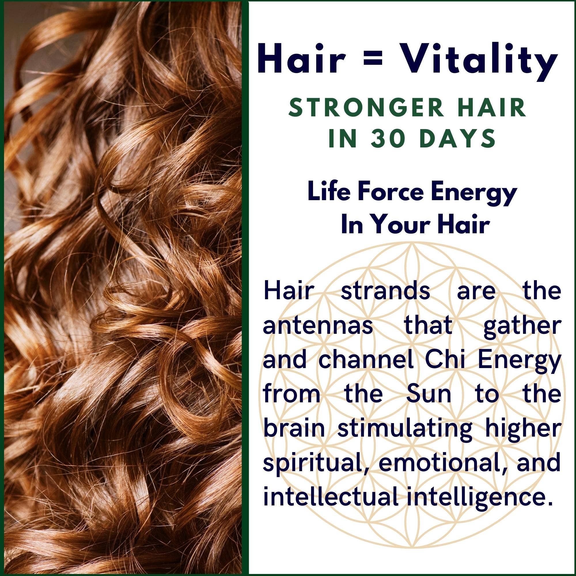 The Sacred Essence - Wholesale Hair Serum - MANA Ayurveda Hair Restoration Serum - Hair Superpower12