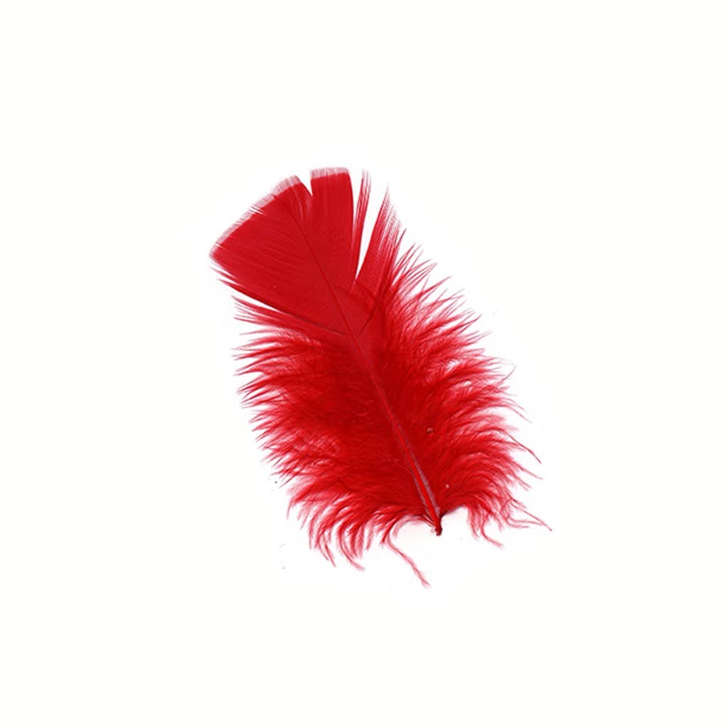Zucker Feather Products - Vente Matériels de bricolage - Plumes de dindon en vrac, 0,5 oz, rouges0
