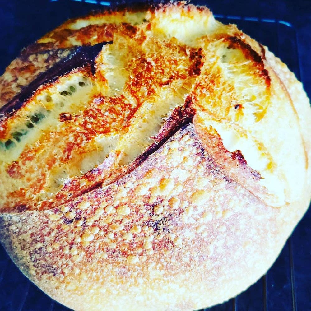 Summit Sourdough - Wholesale Bread Mix - 130 Year Old Summit Sourdough Starter Kit10