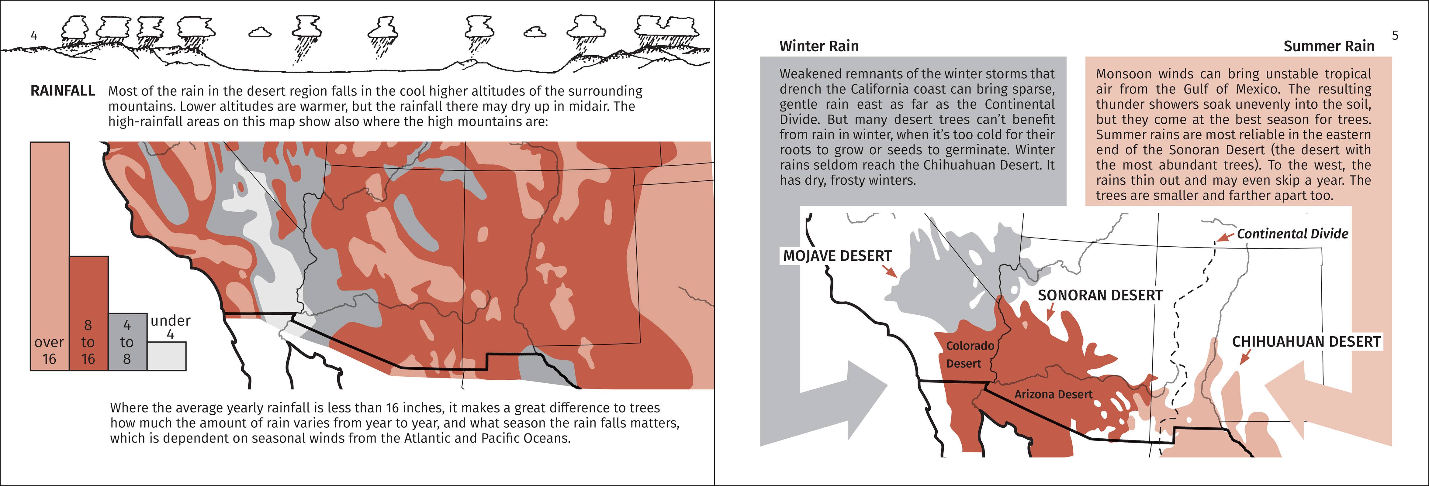 AdventureKEEN - Wholesale Nature & Outdoors - Desert Tree Finder 2e8