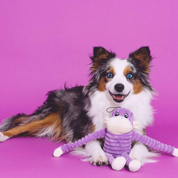 ZippyPaws - Wholesale Pet Plush Toy - Dog - Spencer Crinkle Monkey - Purple - Small - Dog Toy2