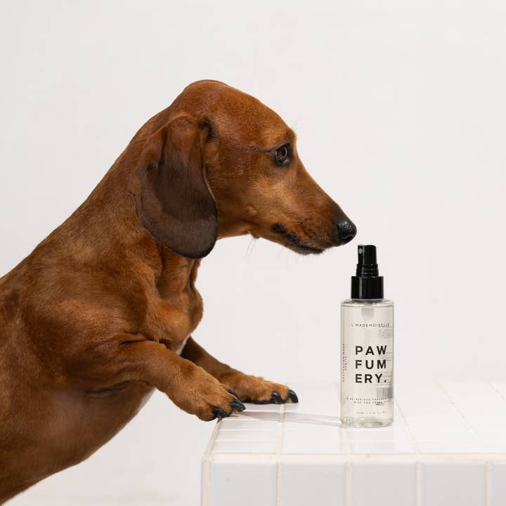 PAWFUMERY - Wholesale Pet spray – Dog - L'Mademoiselle Pawfum Spray1