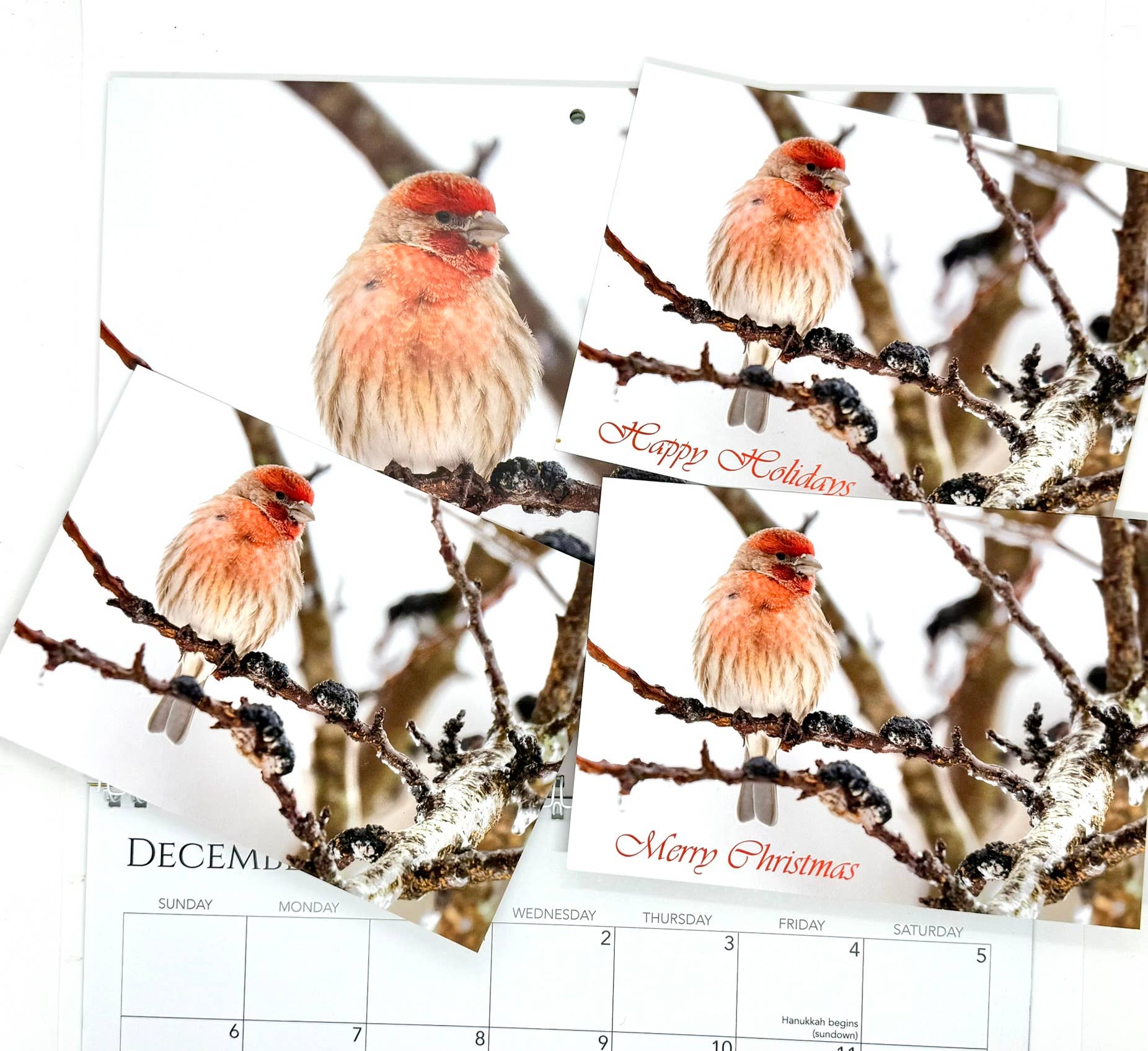 Wren - Wholesale Calendar - 2026 Calendar, A Closer Look6