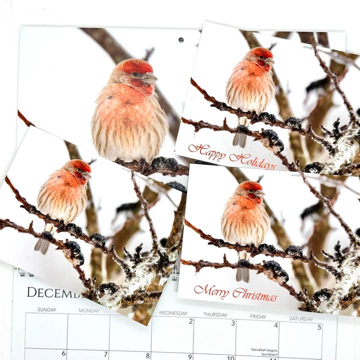 Wren - Wholesale Calendar - 2026 Calendar, A Closer Look6