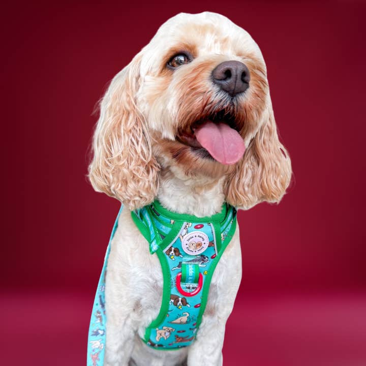 Zelda & Harley | The Dog Mom Store - Wholesale Pet Harness - Dog - Zoomies 2.0 - Adventure No Pull Harness