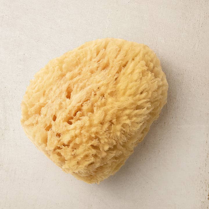 Bath Accessories Company - Wholesale Bath Pouf/Sponge - Natural Sea Sponges