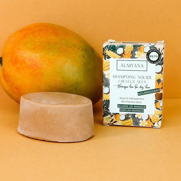 Dry Hair Solid Shampoo for wholesale by Aumyana